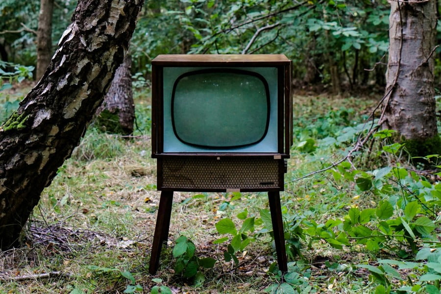 a television in the woods