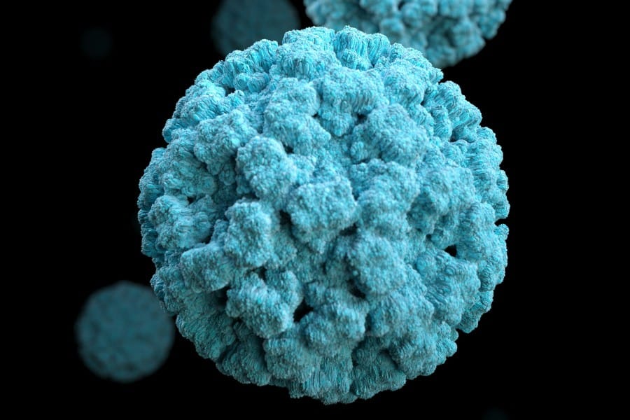 Norovirus a close up of a spherical virus